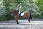 WJ7_8662