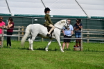SBM_03710