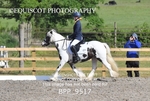 BPP_9517