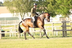 SBM_20313