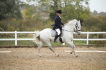 SBM_001260
