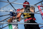 Boxing_Guernsey v Manchester-16