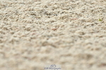 230701A-160543-07324