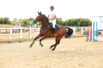 SBM_003740