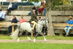 SBM_69854