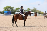 Class 311 Ridden Show Pony/ Show Hunter Pony portfolio