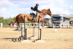 SBM_004657