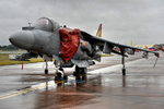 HARRIER 03