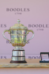 Race 4 3.45pm Boodles Yorkshire Cup Stakes portfolio