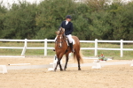 SBM_00454