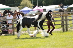SBM_04137