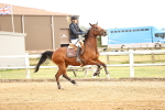 SBM_004878