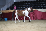 SBM_04985