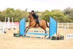 SBM_007303