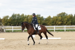 SBM_004484
