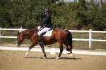 SBM_005788