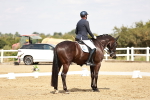 SBM_004153