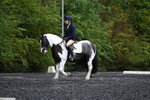 WJ7_4911