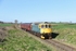 JL - 30.3.25 33035 11:00 Leyburn - Leeming Bar, Muddfields