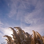 Autumn sky