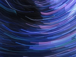 Neon portfolio