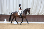 SBM_009239