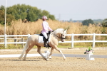 SBM_002299