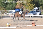 BPP_8339