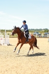 SBM_005646