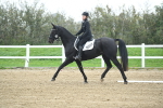 LAD_3524