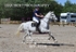 BPP_8228