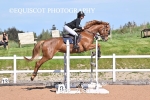 BPP_2081