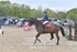 BPP_3421