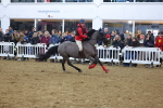 SBM_003994