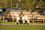 SBM_54435