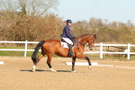SBM_003433