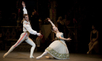 Coppelia portfolio