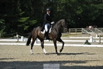 309-PLOT_TWIST_B-Tom_Jackson-WEDTrotUp+DR portfolio