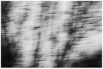 Mute Motion 3