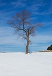 WinterGeorgieb
