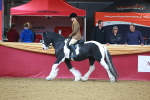 SBM_09739