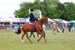 SBM_02728