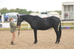 SBM_07907