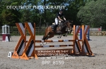 BPP_8159