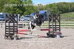 BPP_7190