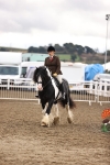 SBM_00282