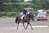 BPP_7986