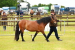 SBM_00255