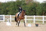 SBM_014772