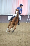SBM_008118